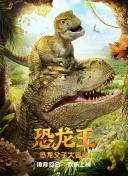 本地SEO优化方案，助力网站流量精准提升